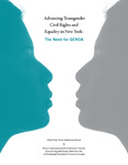 Advancing Transgender Civil Rights and Equality in New York: The Need for GENDA